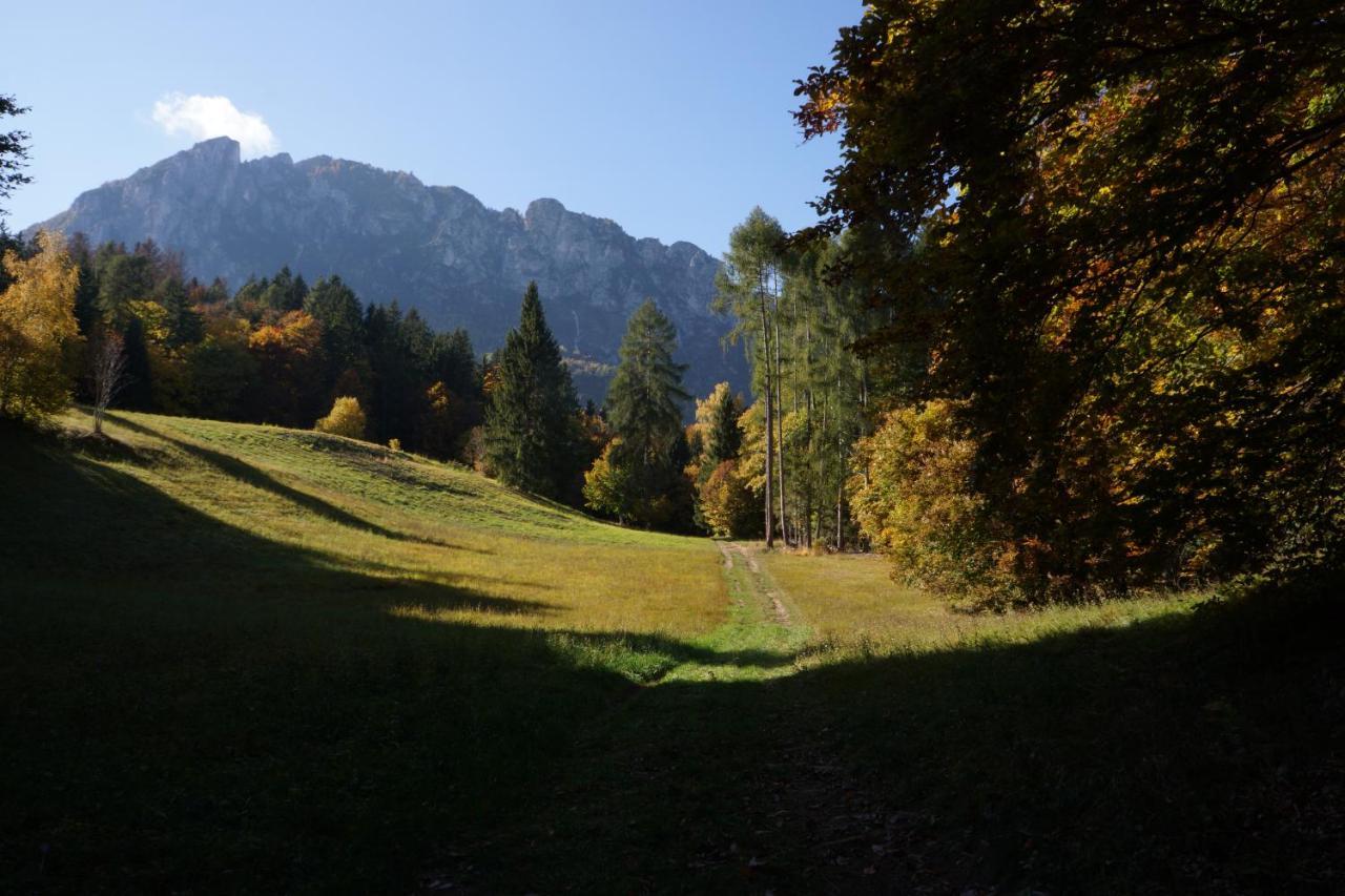 Camera De Le Rondole, Maso Postel - 500 Mt Strada Sterrata Pergine Valsugana Extérieur photo